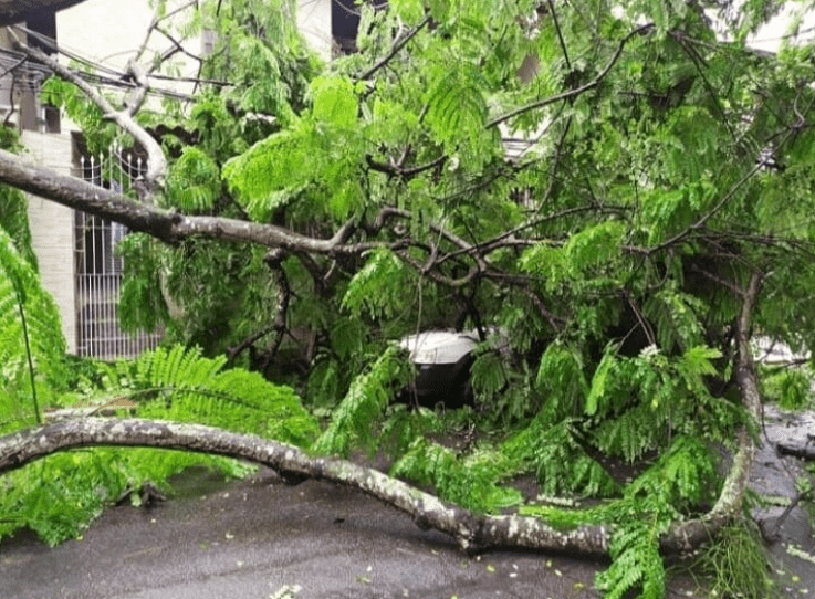 Áreas afetadas pela chuva e ventania recebem equipes para recuperação