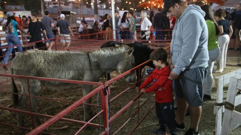 Público aprovou edição 2022 da Exposul Rural, aponta pesquisa