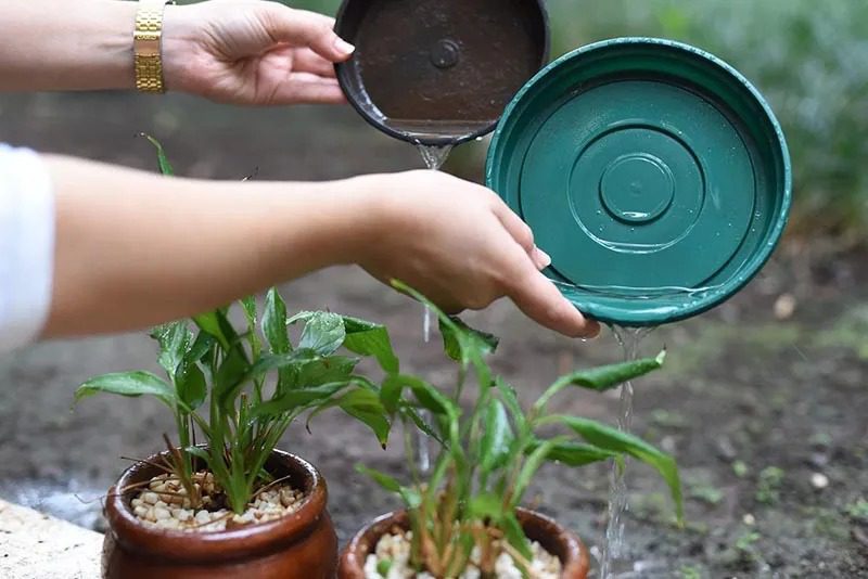 Prefeitura de Viana intensifica combate a mosquitos-da-dengue em residências