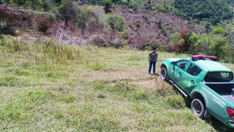 Idaf define empresa para realização do concurso público