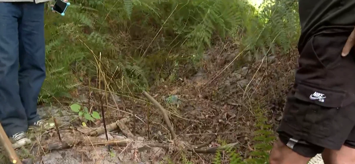 Diarista de 66 anos é encontrada morta em Vila Velha com sinais de violência