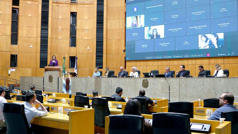 Assembleia debate medidas contra feminicídio e violência doméstica no Espírito Santo