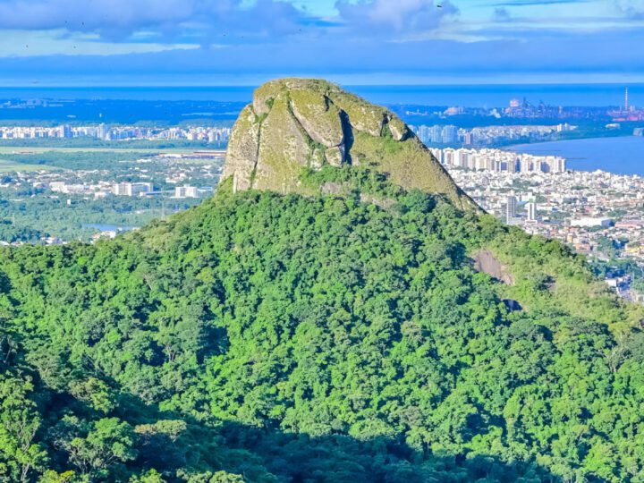 Parque da Fonte Grande celebra 40 anos fortalecendo a integração com as comunidades