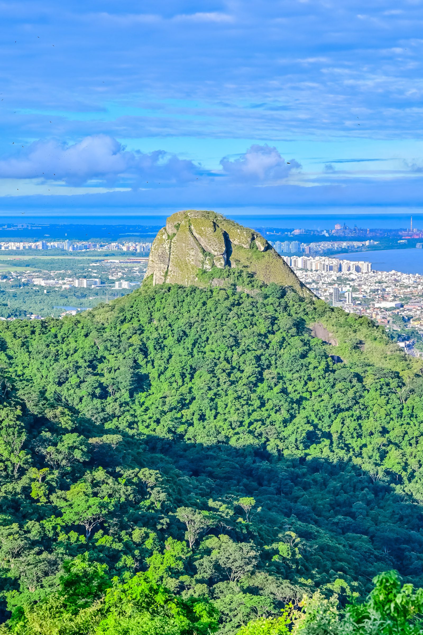Parque da Fonte Grande celebra 40 anos fortalecendo a integração com as comunidades