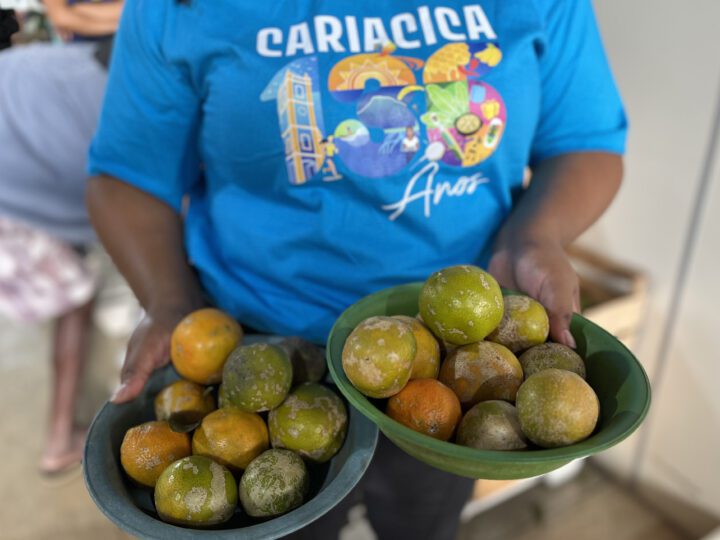 Assistência Social beneficia 180 famílias com entrega de Cestas Verdes em Cariacica