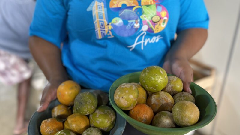 Assistência Social beneficia 180 famílias com entrega de Cestas Verdes em Cariacica