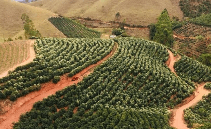 Ales faz homenagem ao setor agrícola