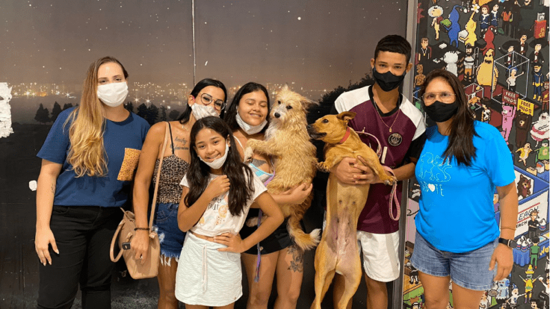 Cariacica: Feira de Adoção de Cães e Gatos no próximo sábado (26) no Shopping Moxuara