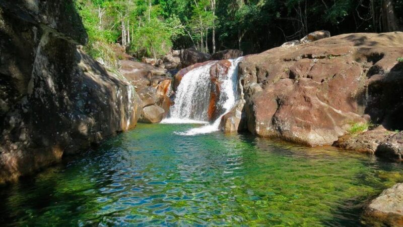 Viana: concurso premia alunos da rede municipal por frases sobre preservação do meio ambiente