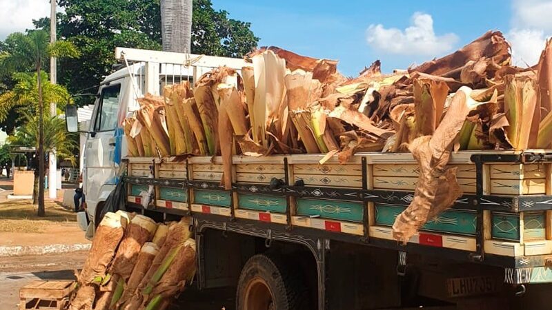 Colatina: confira os locais de venda de palmitos para a Semana Santa