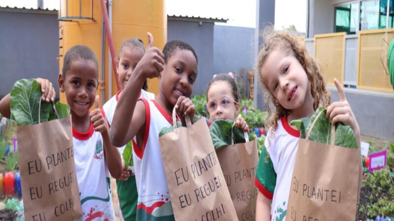 Viana: alunos de CMEI aprendem matemática e português cuidando de horta comunitária