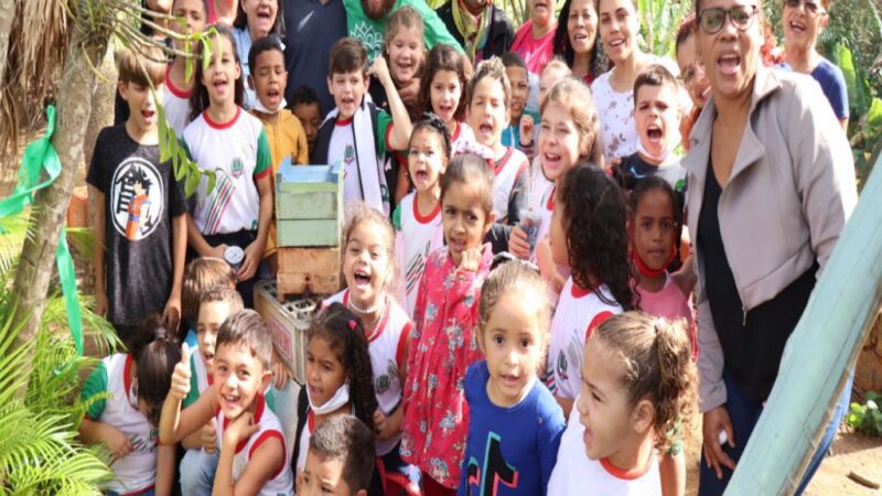 Viana: aula de campo ensina as crianças sobre a importância da árvore