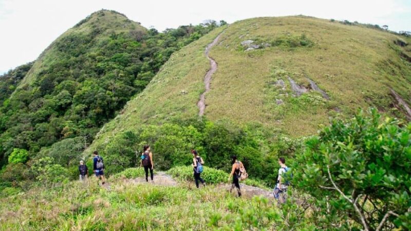 Dia da Mestre: prefeitura realiza programação especial