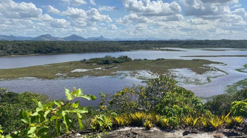 Parque Estadual Paulo César Vinha será reaberto para público no próximo sábado (12)