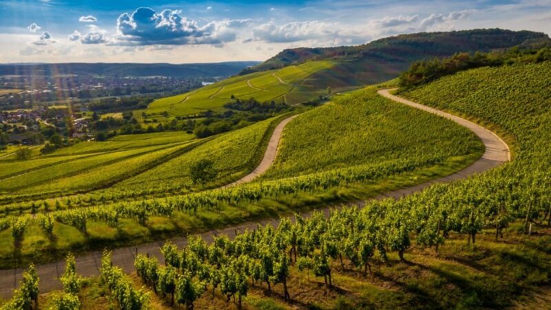 Pessoa física poderá investir em condomínio de produção rural no Espírito Santo