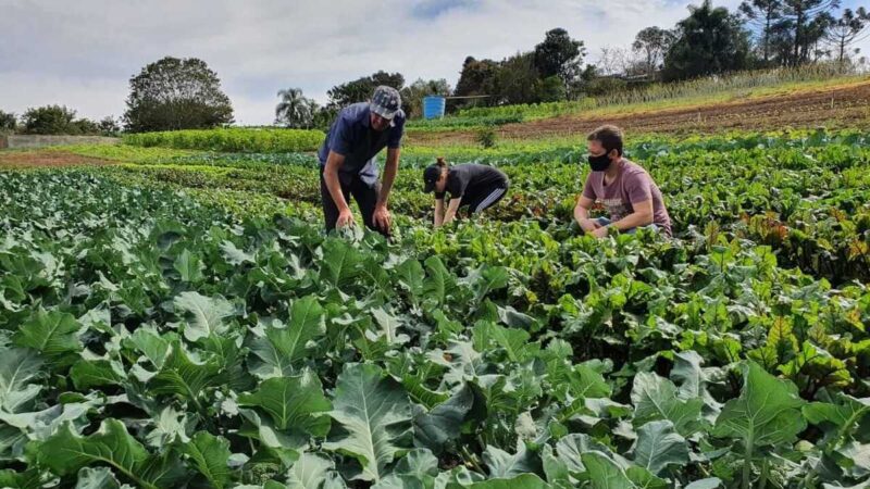 Secretaria de Agricultura e Pesca promove reunião com produtores rurais de Cariacica