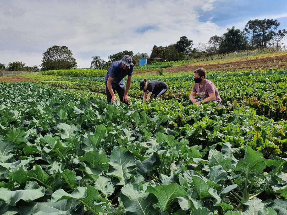 Secretaria de Agricultura e Pesca promove reunião com produtores rurais de Cariacica