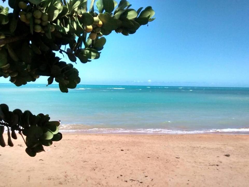 Barra do Sahy, em Aracruz, se destaca como a Soberana do Caribe Capixaba, encantando moradores e turistas neste final de semana